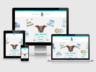Web Service for Animal Rescues css3 divi wordpress