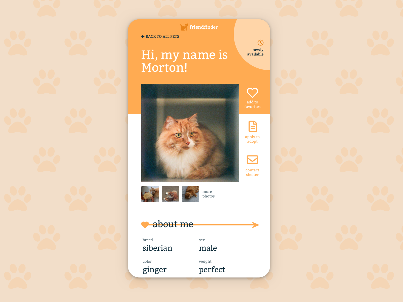 Daily UI Day 6: User Profile by Katie McTigue on Dribbble