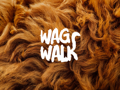Walkies - logo on fur animals bold branding character design dogs events fun graphic design illustration logo pets vector