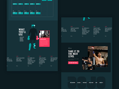 Dojo - desktop UI boxing branding fitness jui jitsu kickboxing logo martial arts ui ux