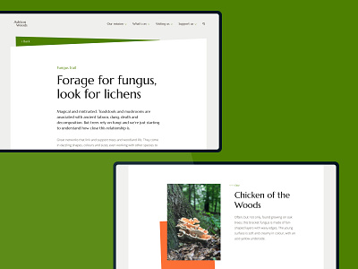 The Woods - Tablet branding design forest leisure logo nature rural typography ui ux vector walking woodland woods