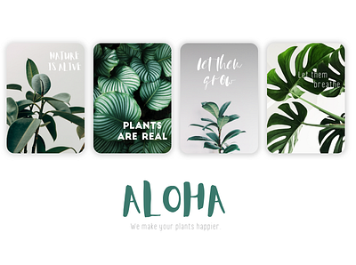 Aloha Project - Plants and leaves remedy concept design leaves nature plants ui