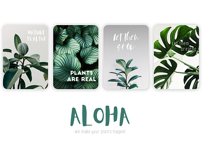 Aloha Project - Plants and leaves remedy