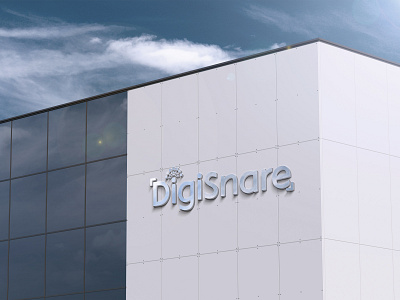 DigiSnare Logo Design