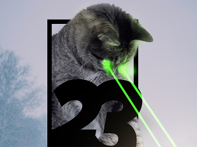SF Nights Volume 23 Album Art Preview album art house music kitties lasers san francisco sf nights techno