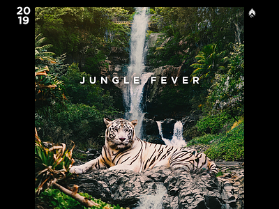 Jungle Fever artwork cover jungle music photoshop poster track vinyl vinylcover