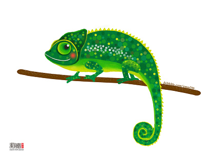 chameleon design illustration package