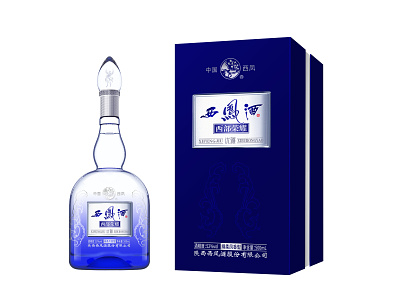 Chinese wine packaging design package