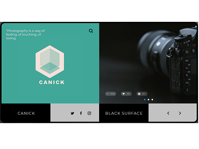 CANICK branding design illustration ui ui ux ux ux ui ux ui design web design