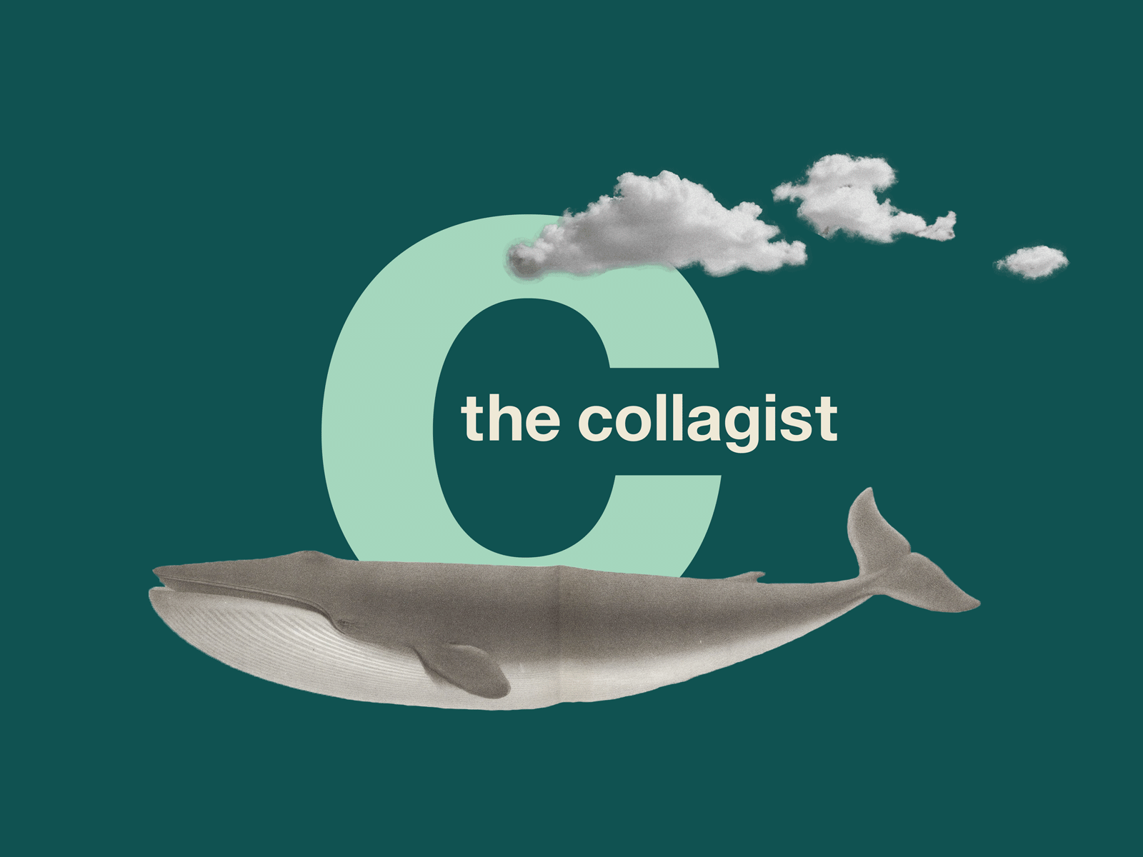 The Collagist Board Game board game clouds collage collage art collage design design flat game game art game design gameideas gif graphic design inspiration logo logotype whale