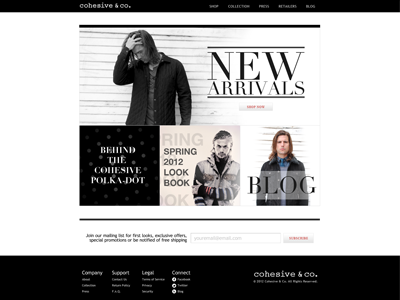 Cohesive & Co. - Home Page apparel black and white elegant fashion home page luxury shopping cart web design website