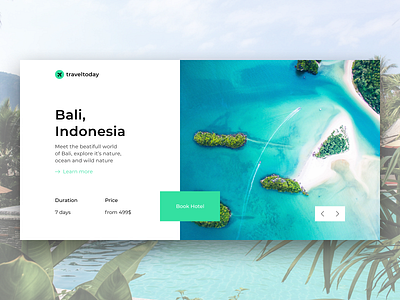 Travel to Bali   Website Design