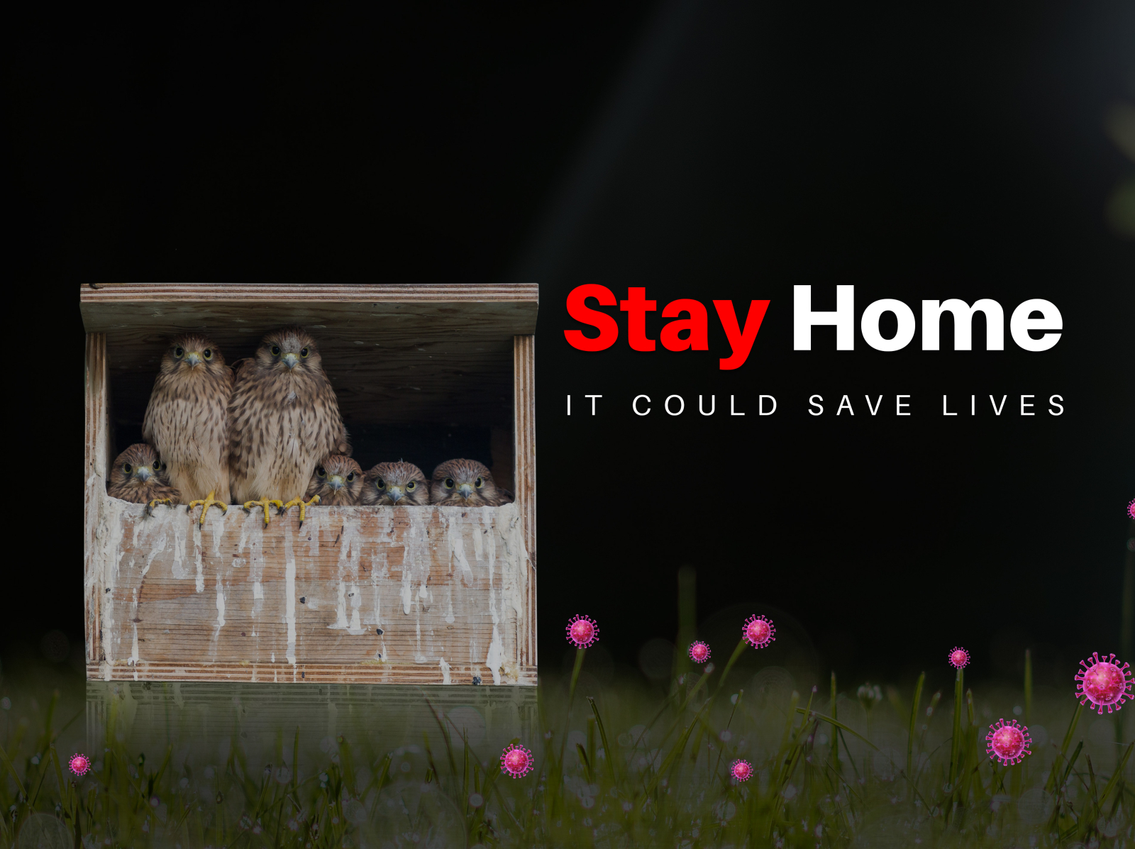 Stay Home By Shahnur Shuvo On Dribbble