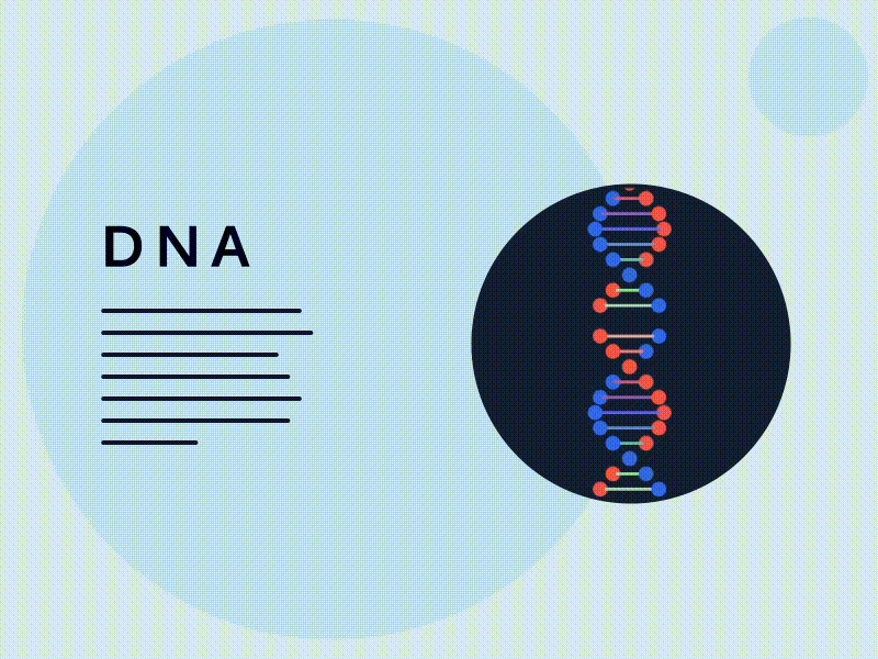 DNA Animation after effects design explainer motion graphics