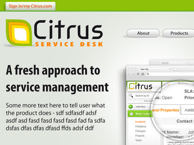 Citrus website logo web design