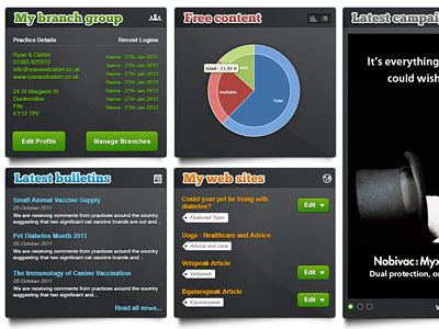 User Interface for online vet system