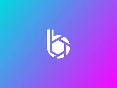 Berkograph b gradient icon letter logo photographer photography vector
