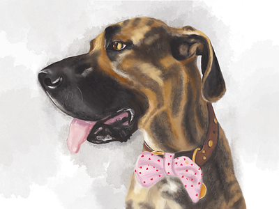 Augie digital dog paint painting photoshop portrait