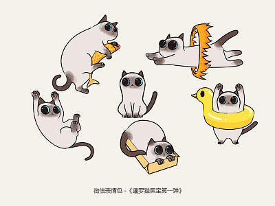 暹罗猫 插图