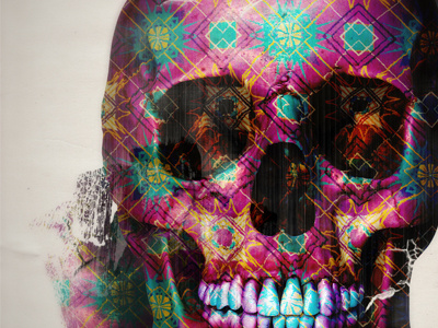 Skull colors cs5 experiment graphic design grunge pattern photoshop skull