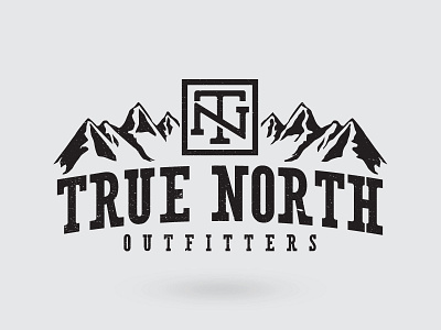 True North Logo canada concept letter logo mountain north proof type