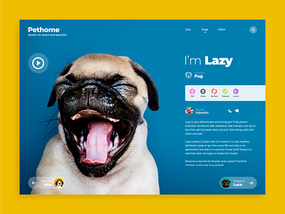 Shelter for funny and beautiful animal and pet app design pet adoption pet app pet care ui ui ux design web app web app design web design