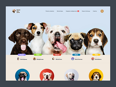This is Chucky. Pet from a pet shelter... animation app design interaction interaction design ui ux webdesign