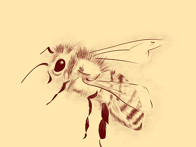 The bee adobe adobe fresco bee design digital digital art digital arts digital drawing digital painting drawing flat fresco illustration illustration digital illustrator ipad logo minimal nature vector