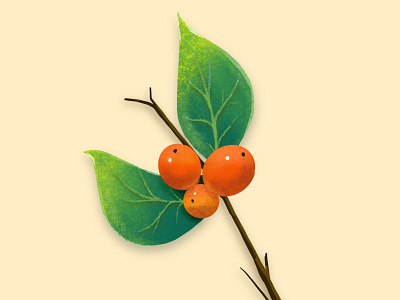 Berry illustration