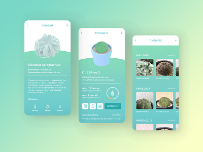 Plant Care App design