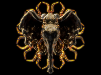 Black Elephant 3d animal art cinema 4d concept art cover art design elephant gold illustration