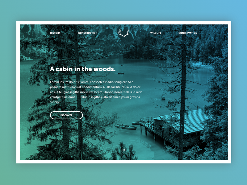 Dribbble