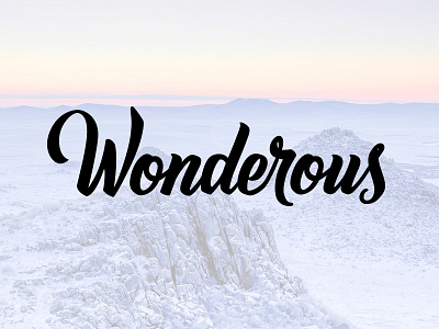 Wonderous branding brush calligraphy lettering logo logotype script typography