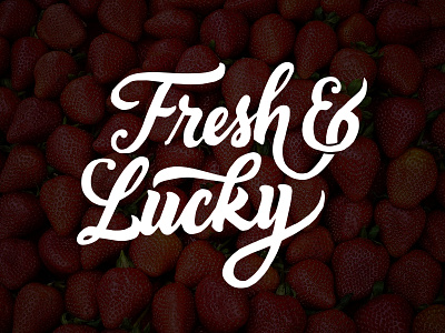 Fresh & Lucky logo branding calligraphy custom custom type design handmade lettering logo logotype script type typography