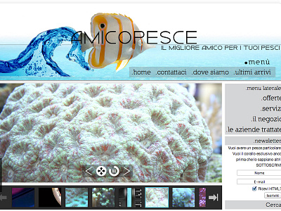 www.AMICOPESCE.com animal fish joomla reef shop site