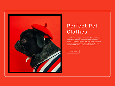 Day 39: Pet Clothes 100 days challenge dailyui design illustration landingpage ui ui challenge ux uxdesign web webdesign website