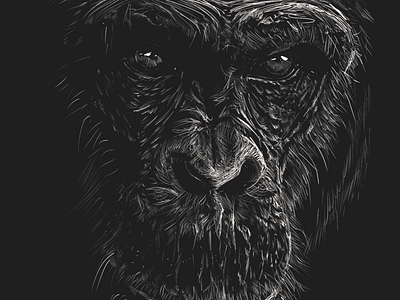 Line art Gorilla