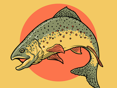 Trout Illustration brownie butter fishing illustration photoshop retro river trout