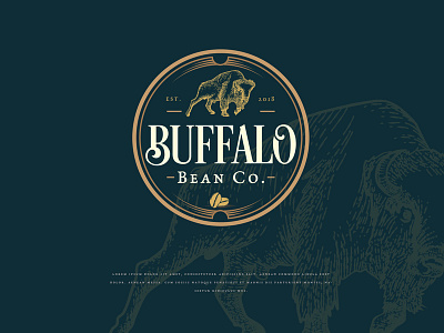 buffalo Bean classic logo design coffee logo inspiration illustration vintage badge vintage logo design
