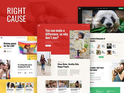 RightCause - Charity and Donation Theme charity colorful creative donation fundraising landing page layout modern responsive template theme ui ux wordpress