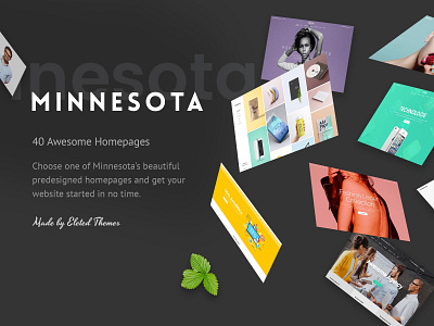 Minnesota - Professional WordPress Theme agency app showcase business design fitness freelance layout marketing medical multipurpose photography portfolio responsive seo startup technology template theme web design wordpress