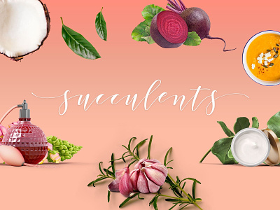 Succulents - Healthy Lifestyle and Wellness Theme