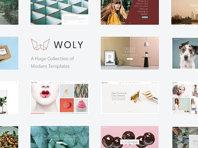 Woly - Multipurpose WordPress Theme agency architecture barbershop business design education fashion store florist layout multipurpose personal portfolio portfolio responsive studio template theme web design wordpress