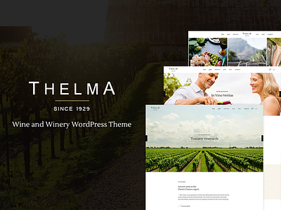 Thelma bar branding business design label landing page layout responsive sommelier template theme ui ux web design website mockup wine wine bar wine shop winery wordpress
