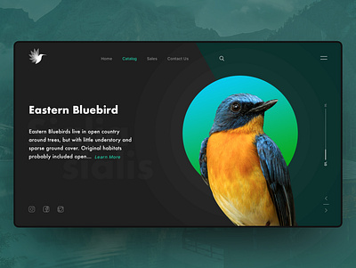 Catalog of birds adobe photoshop logo ui user interface