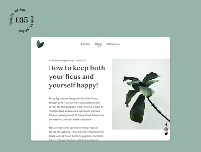 Daily UI #035 / Blog Post 035 article blog post daily 100 challenge daily ui ui