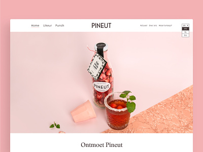 Pineut — Website branding design ui ux web