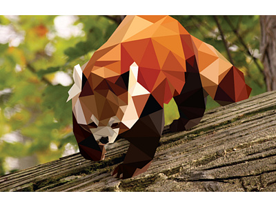 Low Poly Red Panda geometric low poly nature panda poly red panda triangles vector