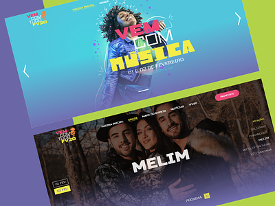 FV20 Summer Festival Website design music music festival summer summer party web design webdesign website