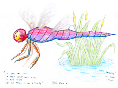 Dragon Fly Sketch